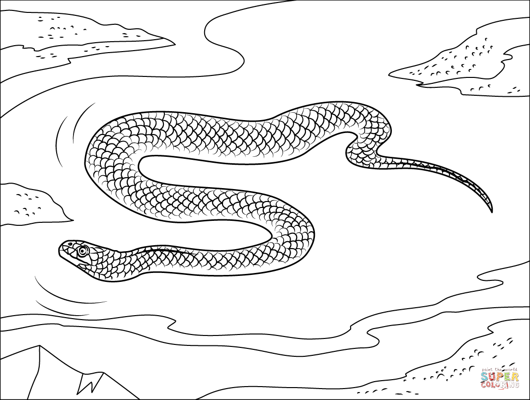 Beaked sea snake coloring page free printable coloring pages