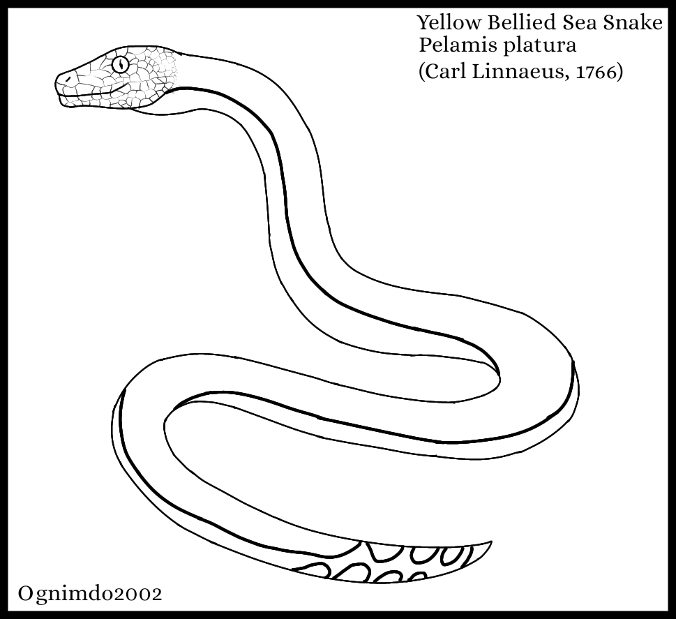 Ognimdos coloring page