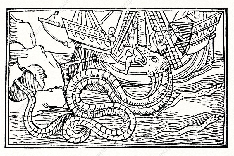 Sea serpent th century artwork