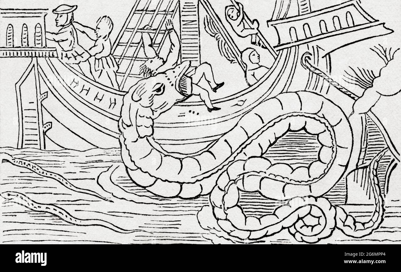 Great sea serpent hi