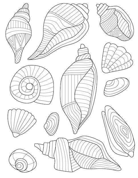 Seashell coloring page images