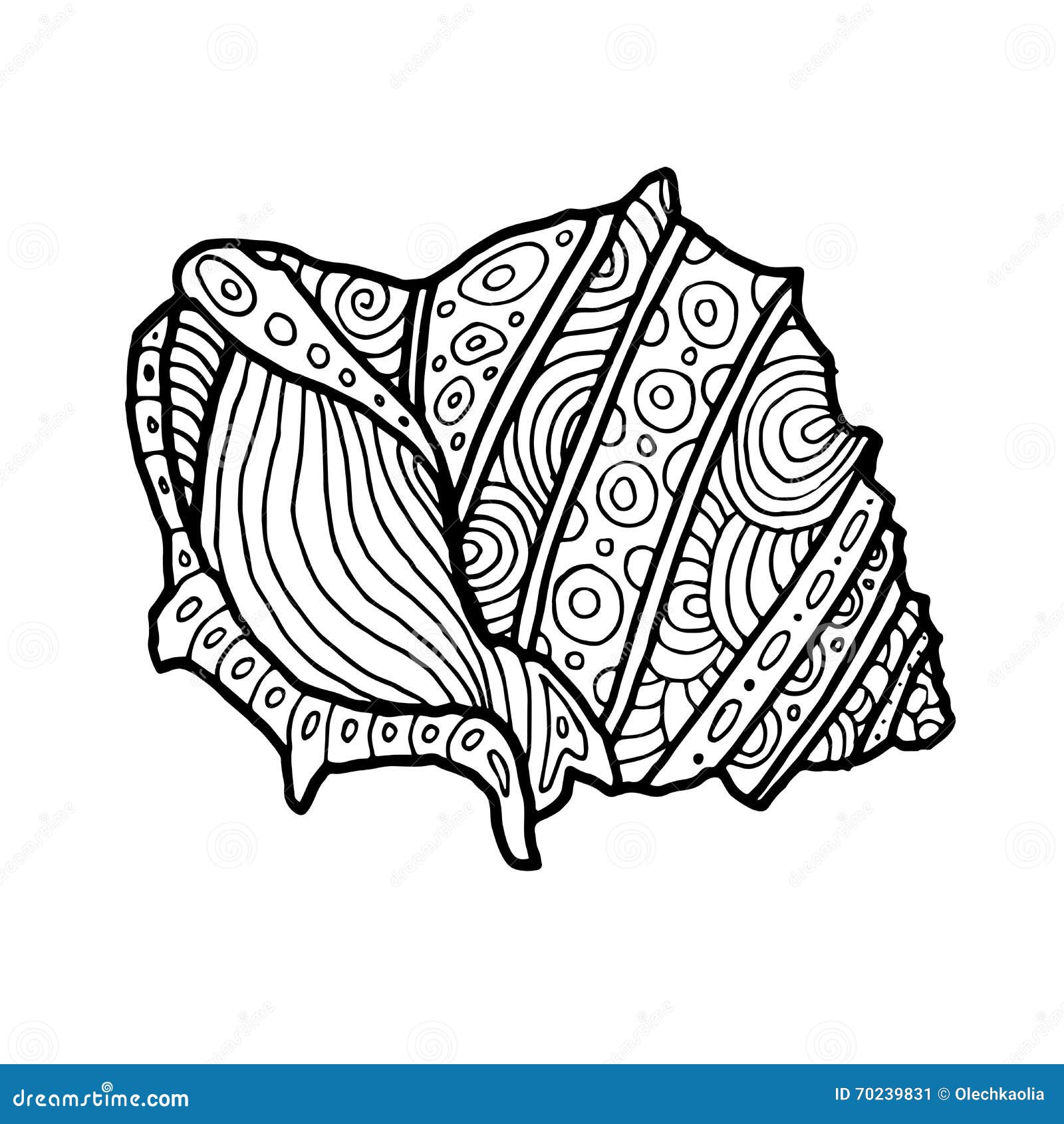 Sea shell stock illustrations â sea shell stock illustrations vectors clipart