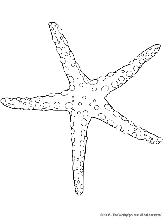 Sea star coloring page audio stories for kids free coloring pages colouring printables