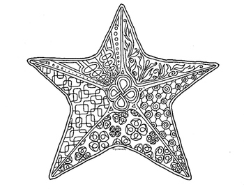 Sea star zentangle coloring page by pamela kennedy tpt