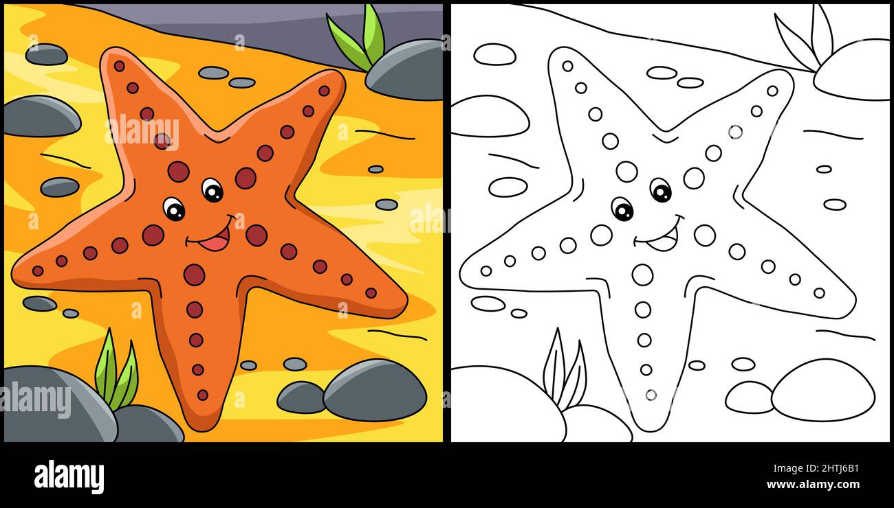 Sea star coloring page illustration stock vector image art