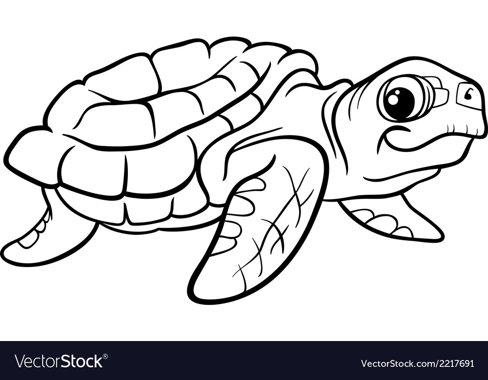 Sea turtle coloring book royalty free vector image