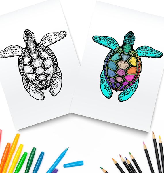 Sea turtle coloring page sea life coloring book printable digital download ocean creatures pdf