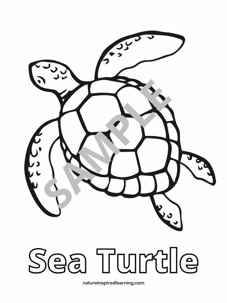 Cute sea turtle coloring pages turtle coloring pages life science lesson plans sea turtle