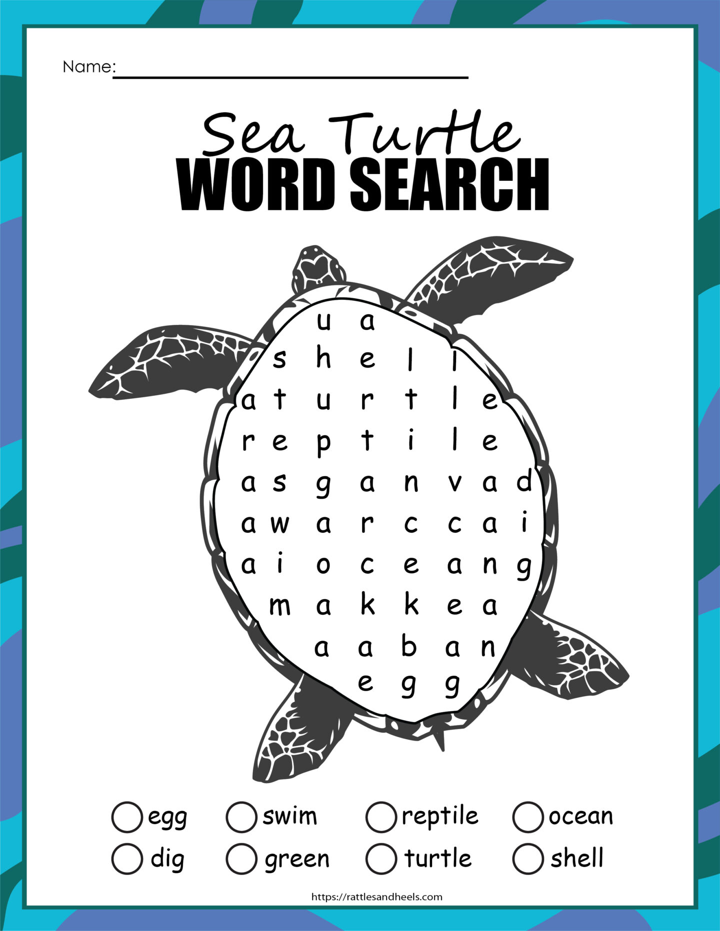 Sea turtles activity sheets
