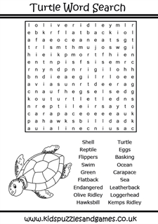Turtle word search