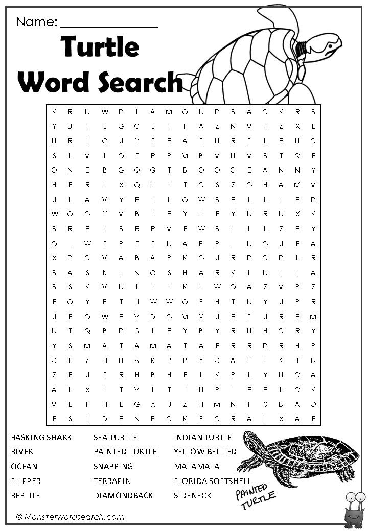 Cool turtle word search turtle activities turtle ocean words