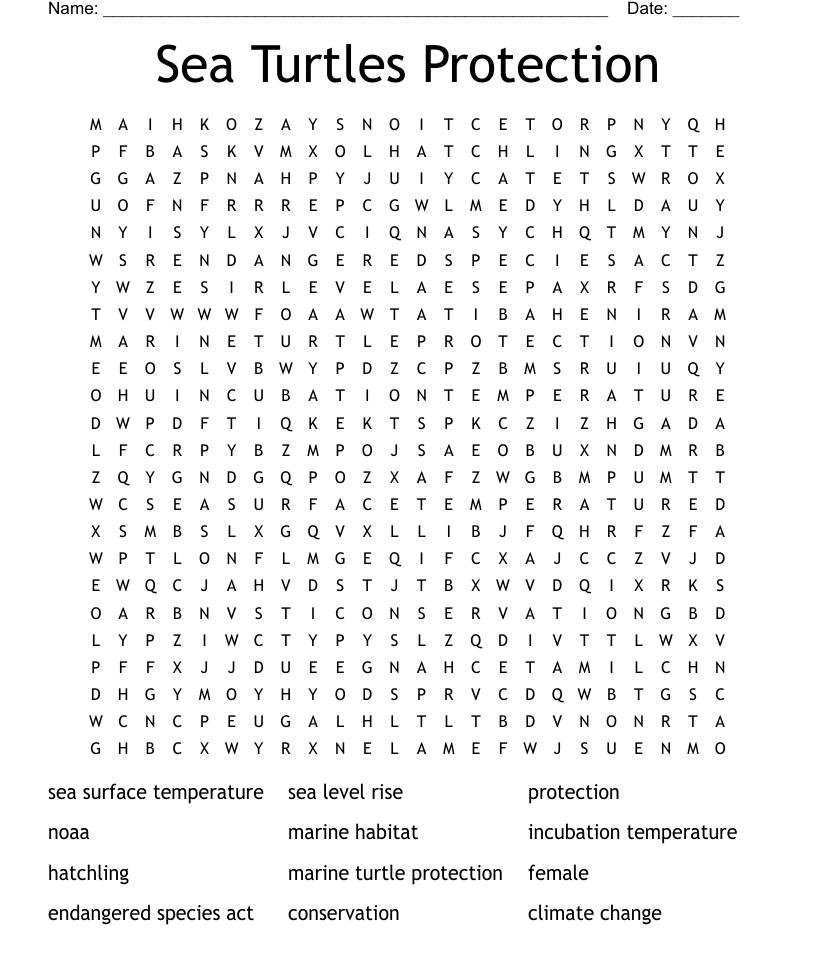 Sea turtle word search