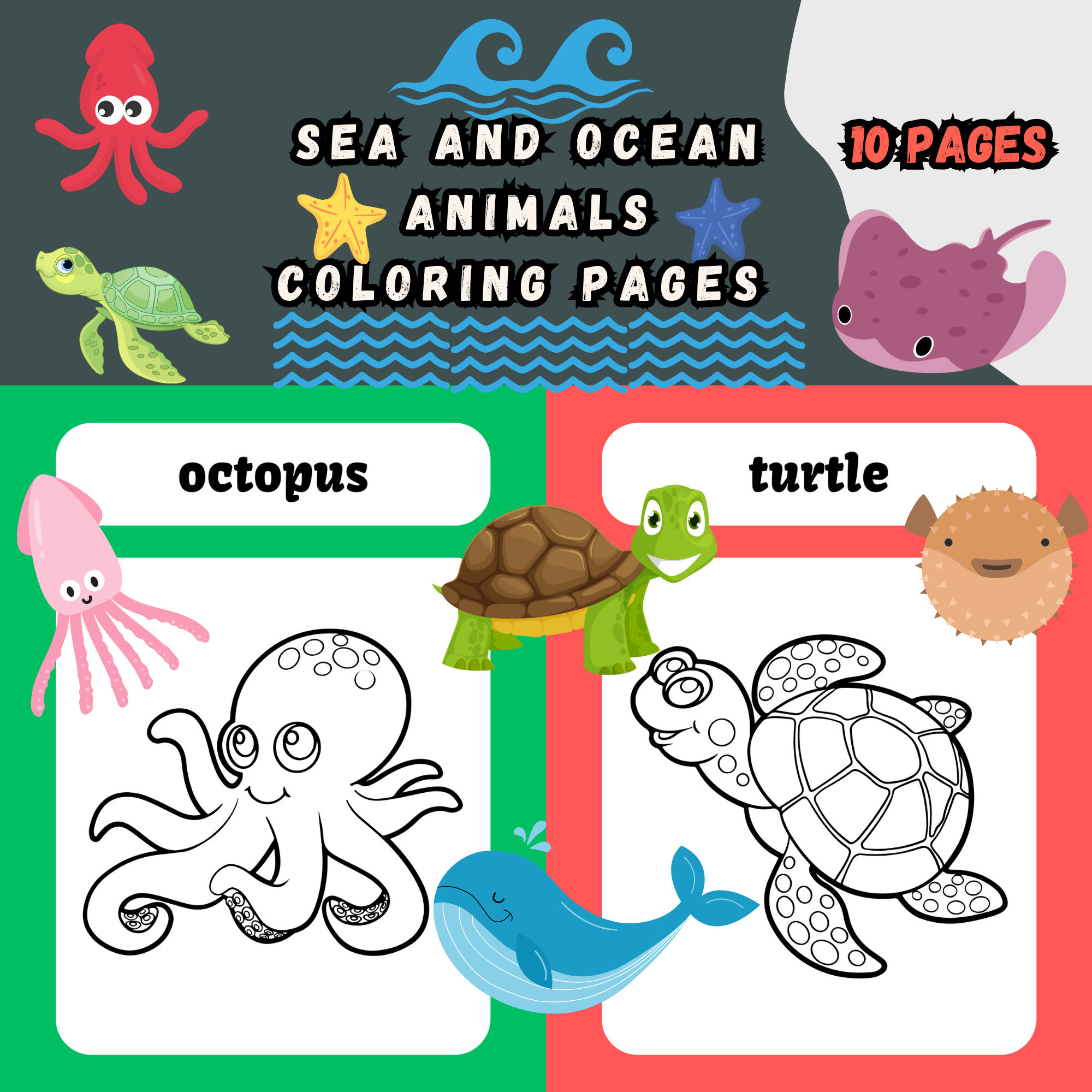 Sea and ocean animals coloring pages made by teachers