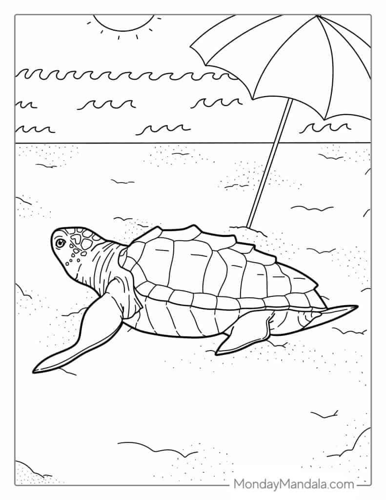Turtle coloring pages free pdf printables