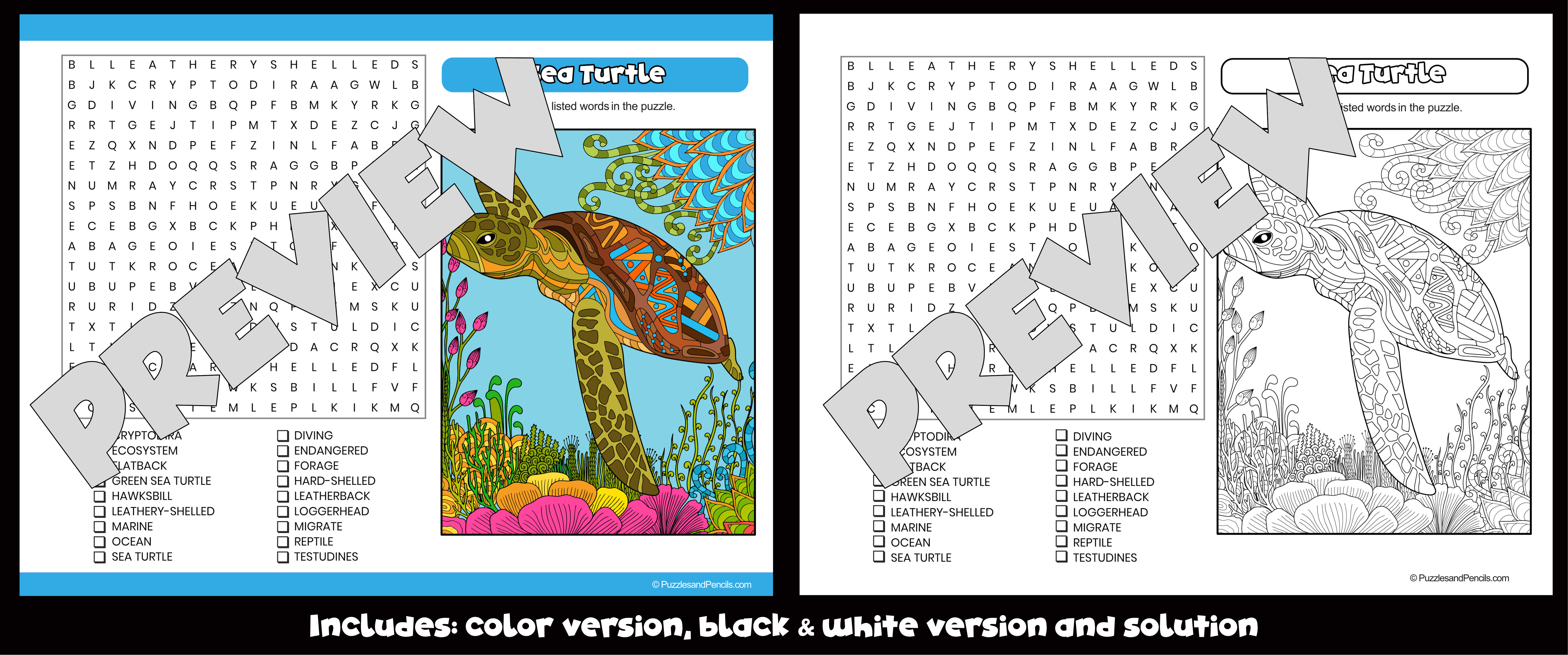 Sea turtle word search puzzle and colouring activity wildlife wordsearch teaching resources