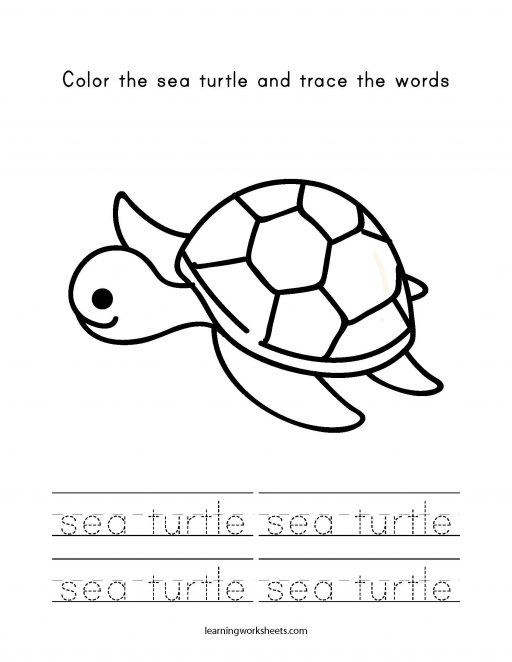 Color the sea turtle and trace the words