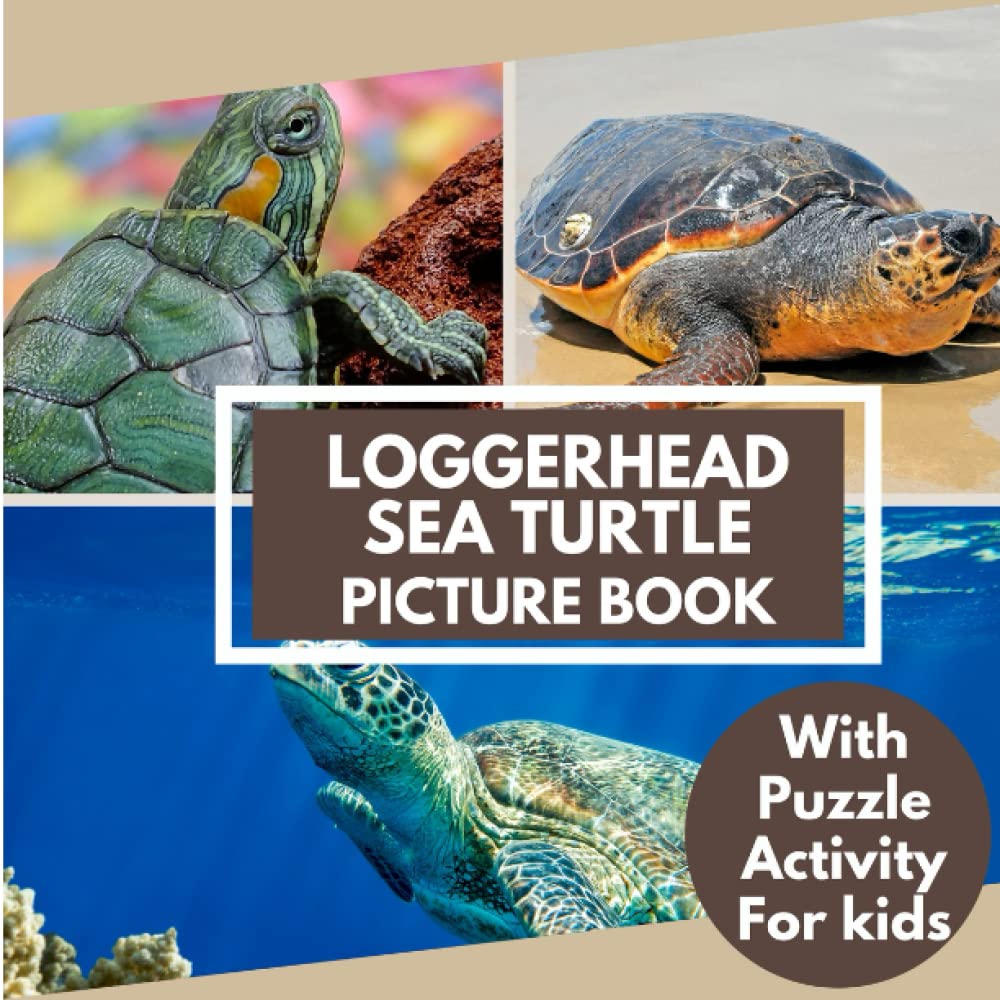 Buy loggerhead sea turtle picture book with puzzle activity for kids learn facts about the loggerhead sea turtle including challenging word search puzzle mazes and coloring pages online at kuwait
