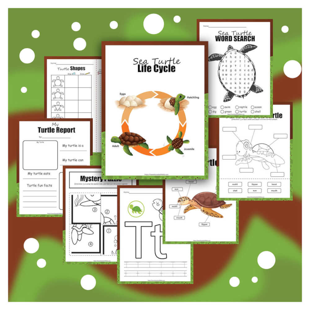 Free printable sea turtle activity pack for kids