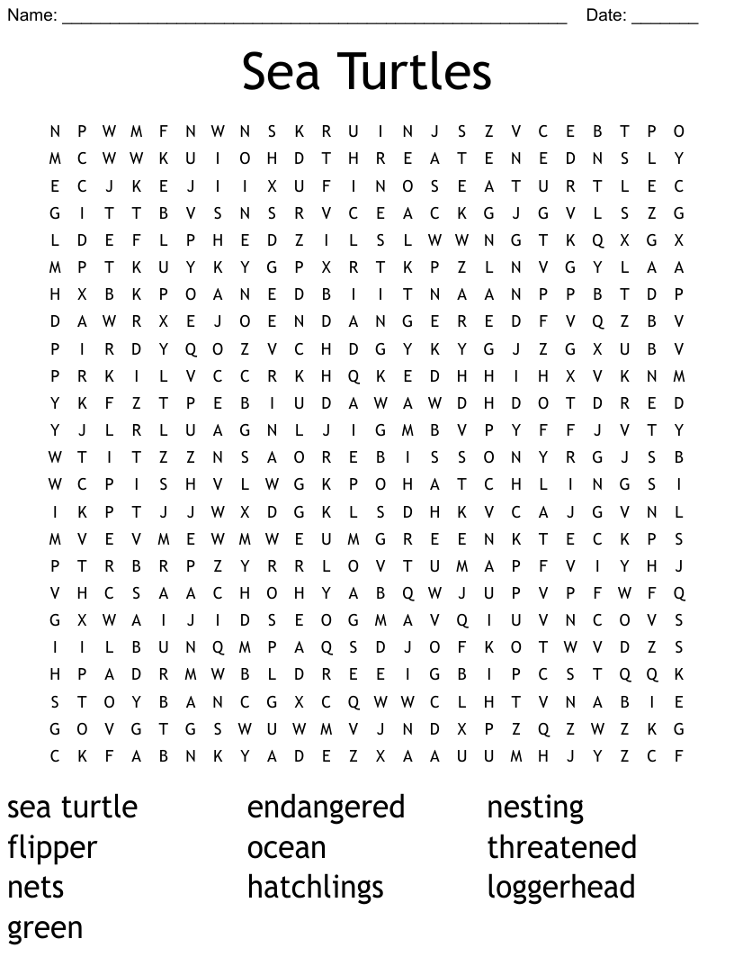Sea turtle word search