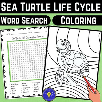 Sea turtles coloring pages tpt
