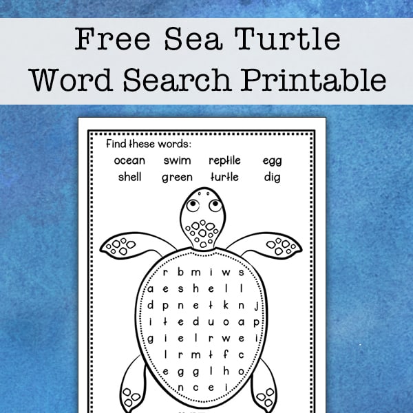 Sea turtle word search