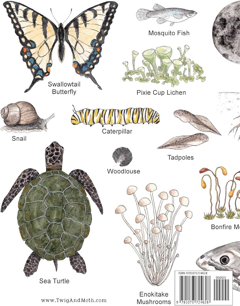 Nature themed word search nature inspired word search book with puzzles and bonus coloring pages for kids ages and up cantrell alice m books