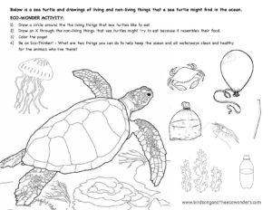 Keep the ocean clean sea turtle coloringactivity page â birdsong and the eco