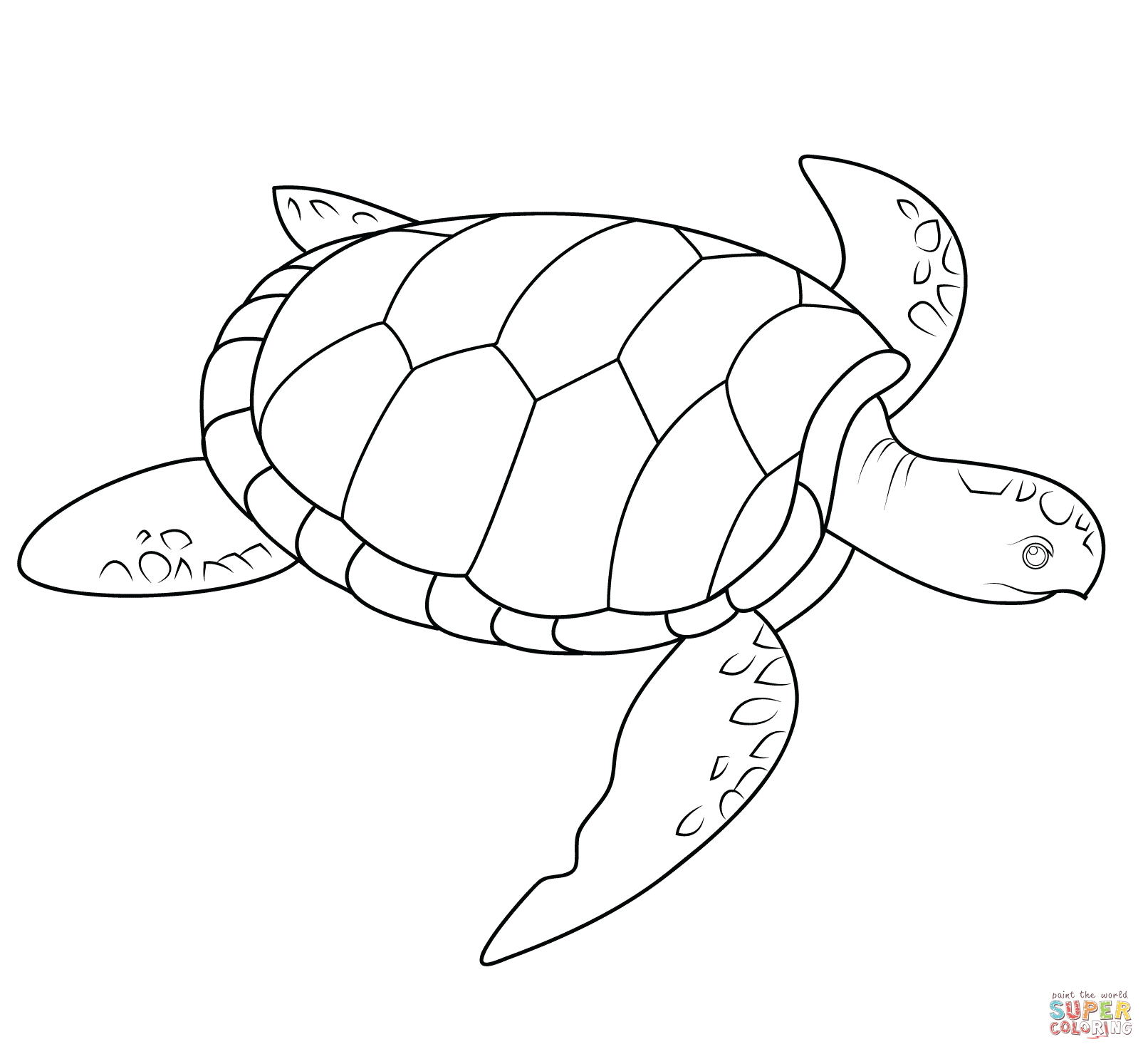 Sea turtle coloring page free printable coloring pages