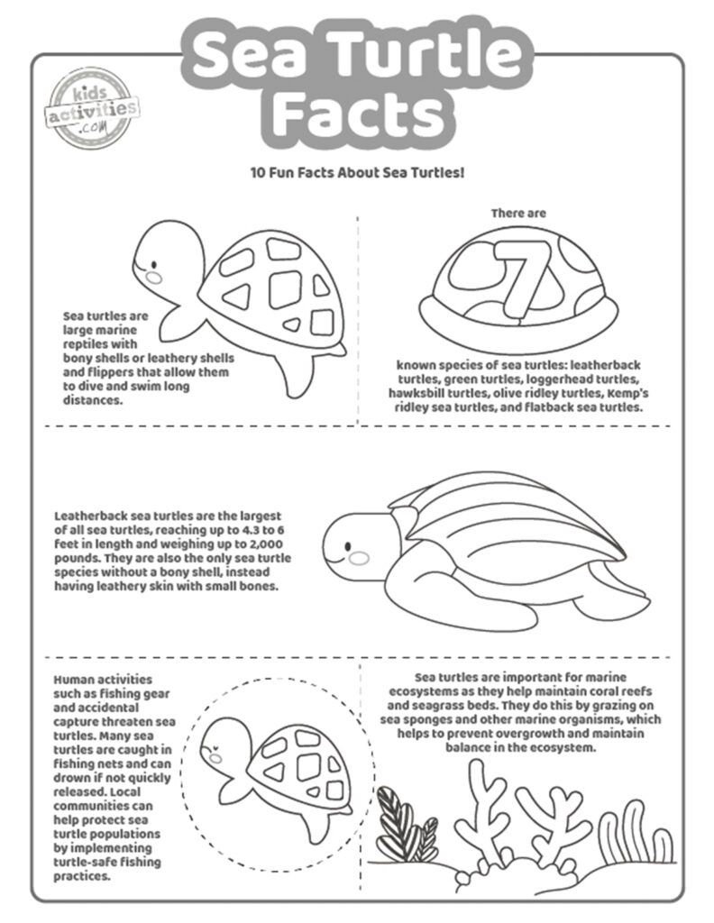 Cute sea turtle facts coloring pages kids activities blog