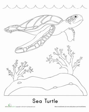 Sea turtle coloring worksheet education sea turtle art sea turtle quilts sea turtle