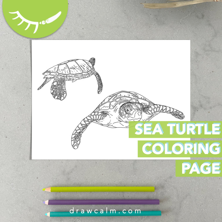 Swimming turtle coloring page â draw calm