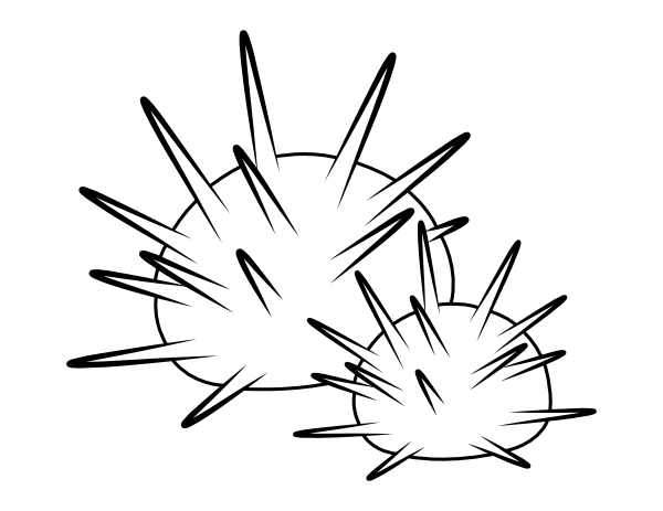 Printable sea urchin coloring page