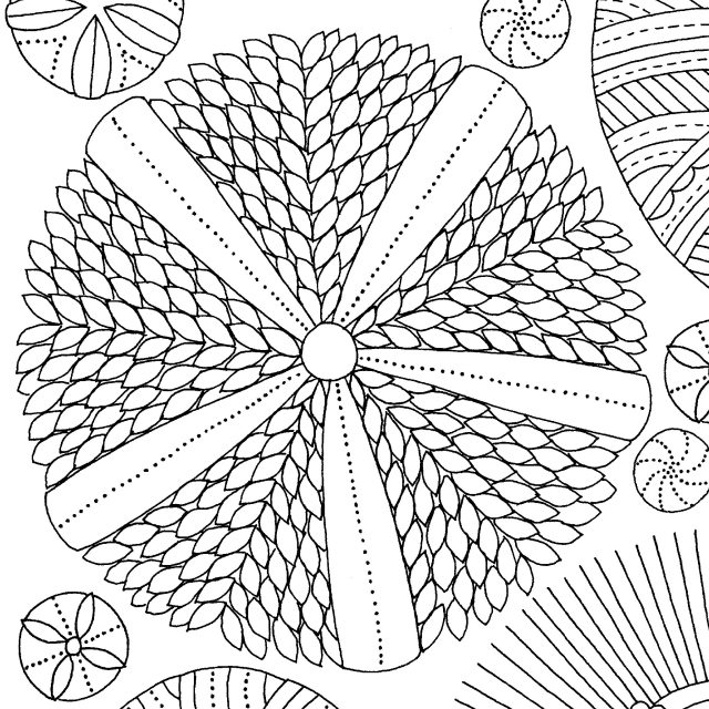 Sea urchins â millie marotta