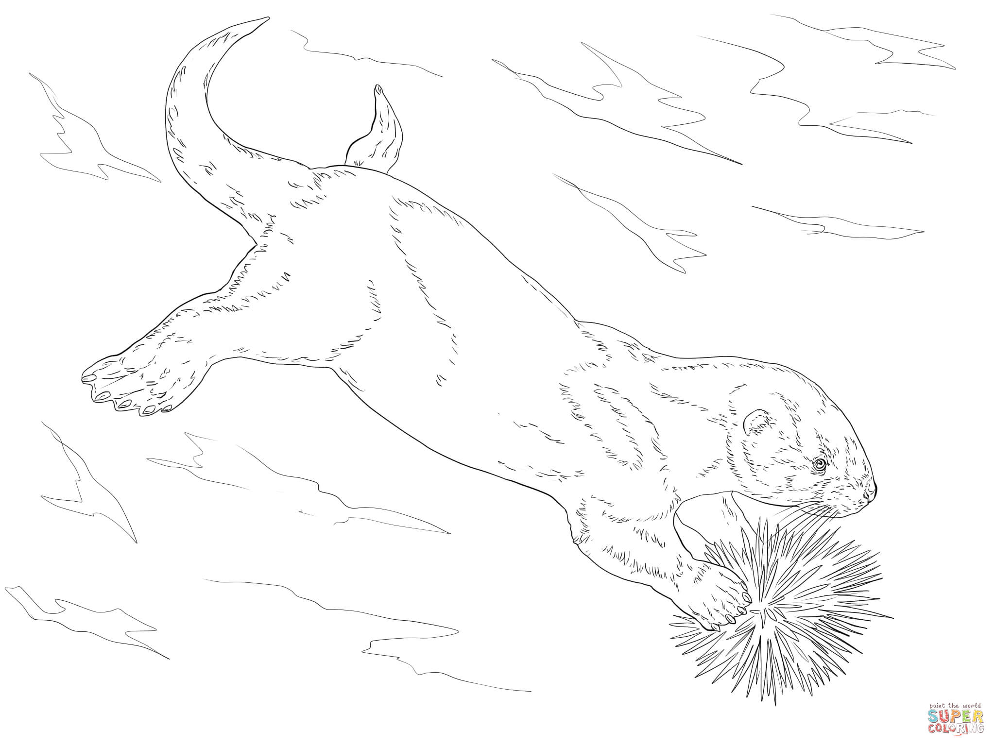 Sea otter eating sea urchin coloring page free printable coloring pages