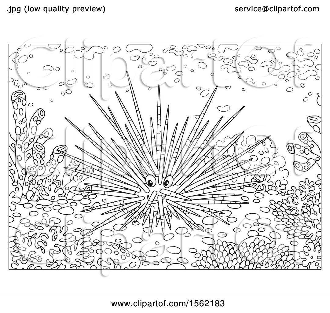 Clipart of a lineart sea urchin at a reef