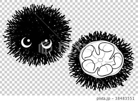 Sea urchin character coloring page