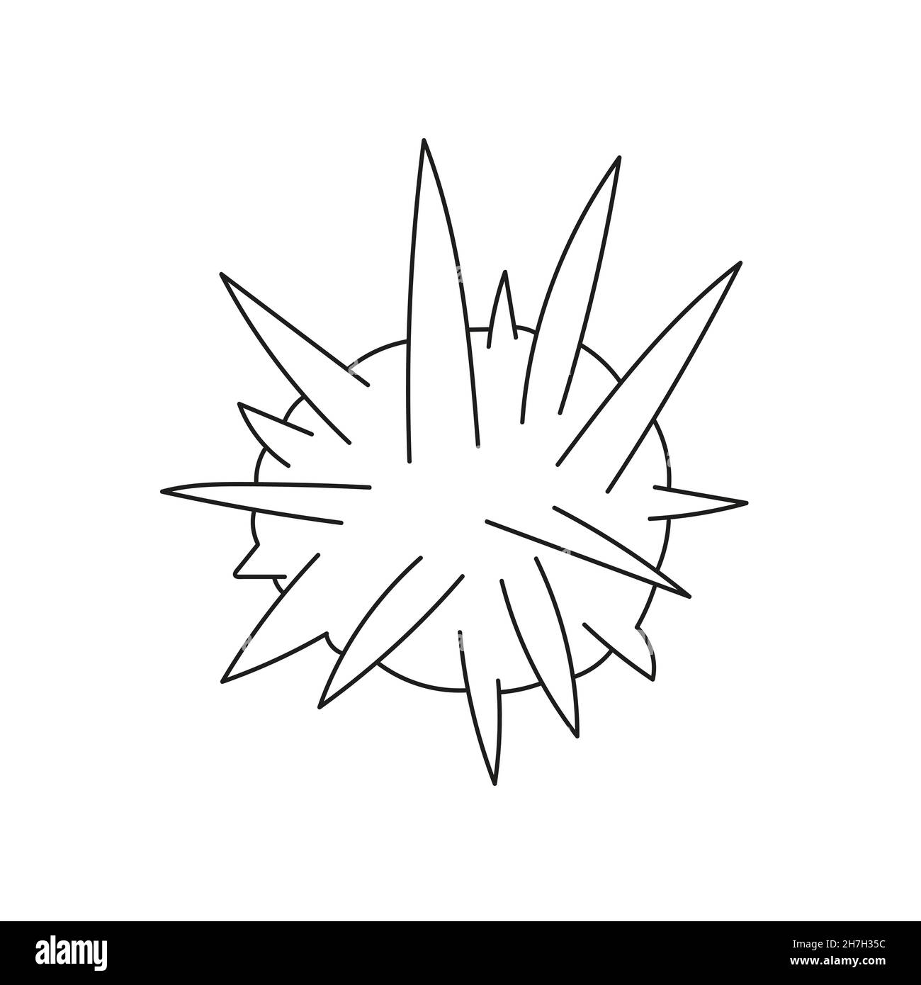 Spiny sea urchin stock vector images