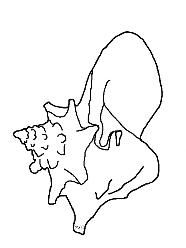 Sea urchin coloring page