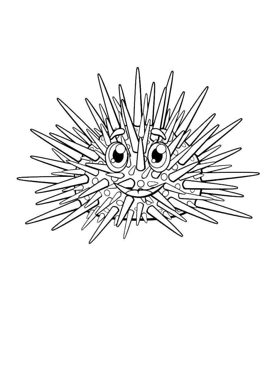 Sea urchin coloring page