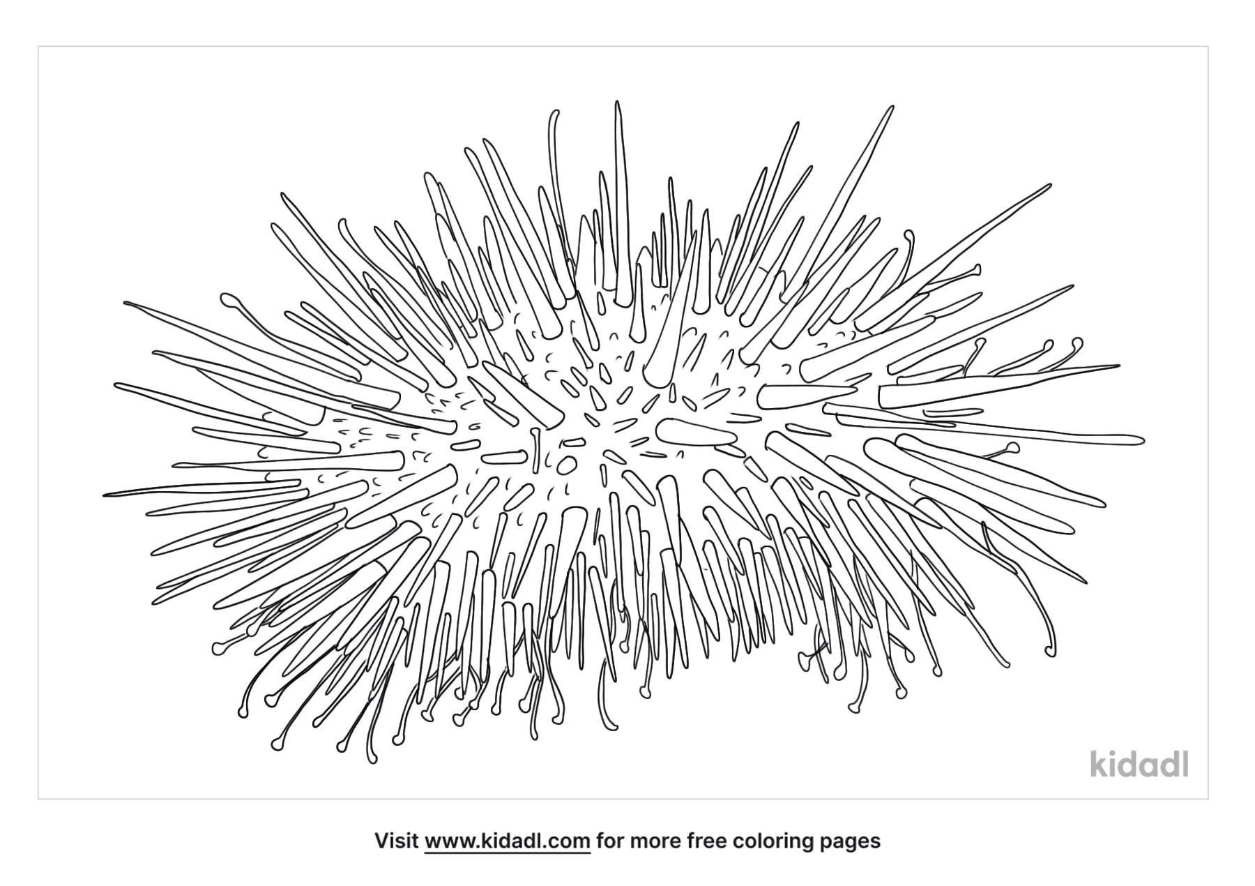 Free sea urchin coloring page coloring page printables