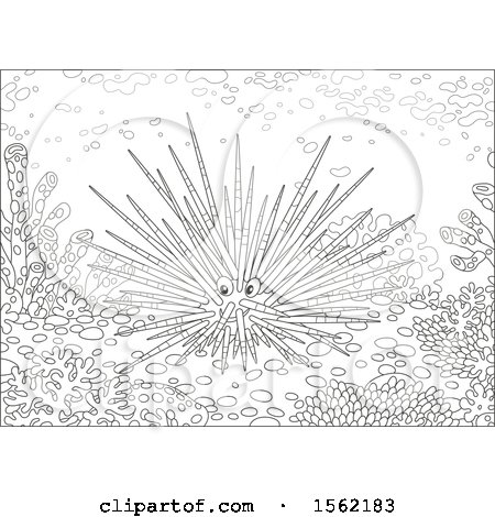 Clipart of a lineart sea urchin at a reef