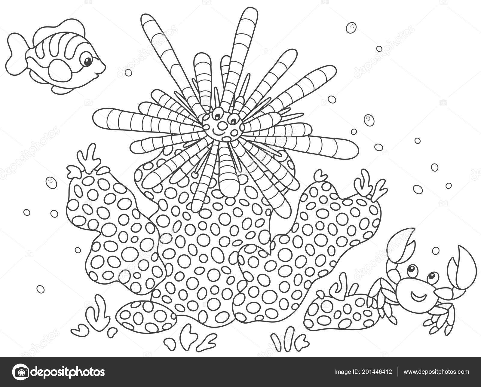 Striped long spine sea urchin funny small crab tropical fish stock vector by alexbannykh