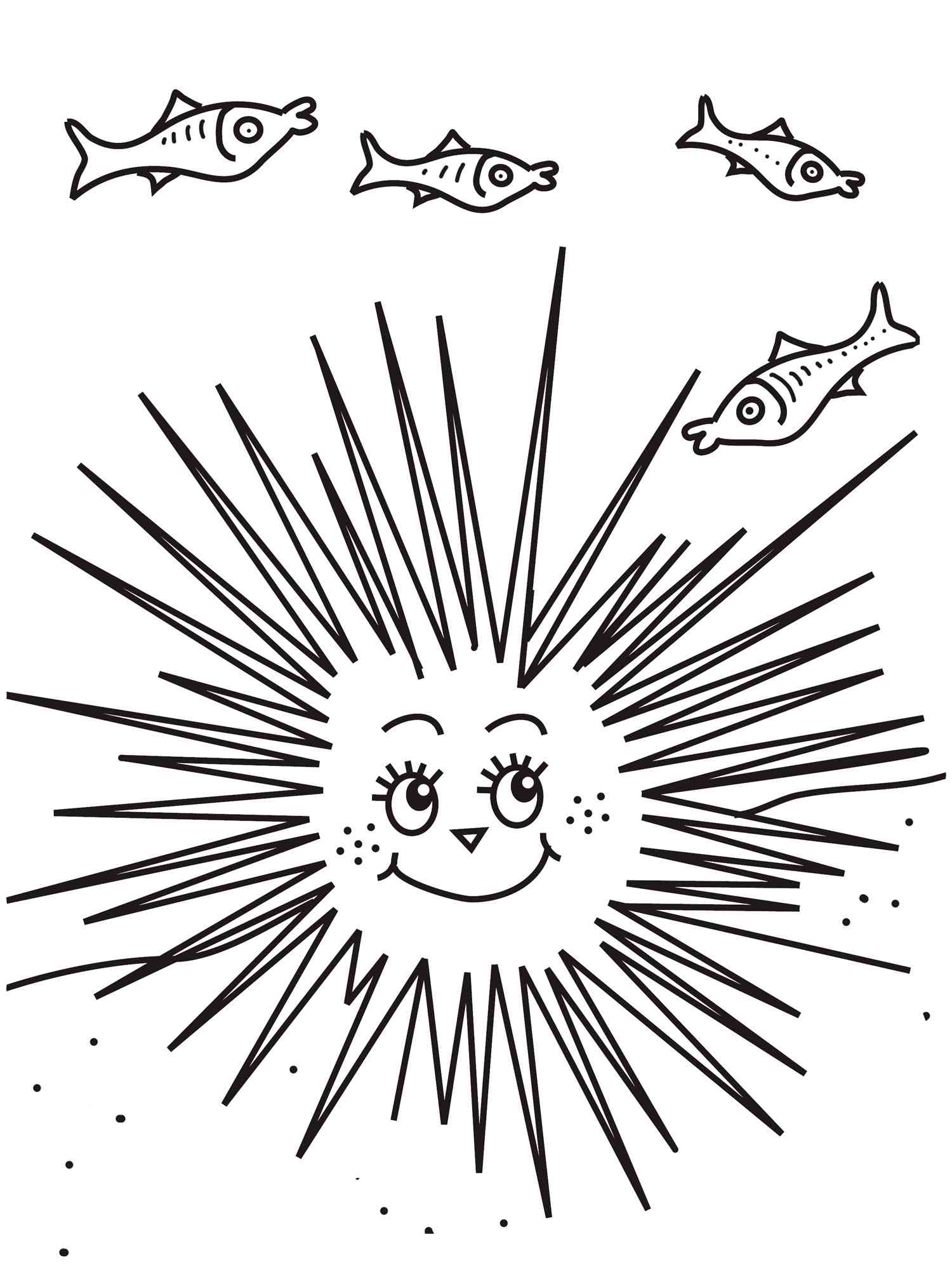 Sea urchin coloring page