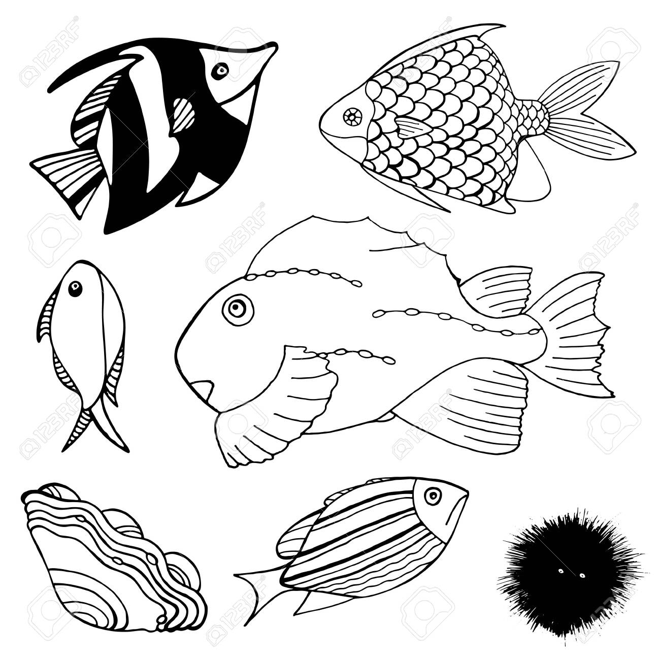 Black and white set of cartoon fishes illustration of fishes seashell and sea urchin vector illustration for stickers and coloring book royalty free svg cliparts vectors and stock illustration image