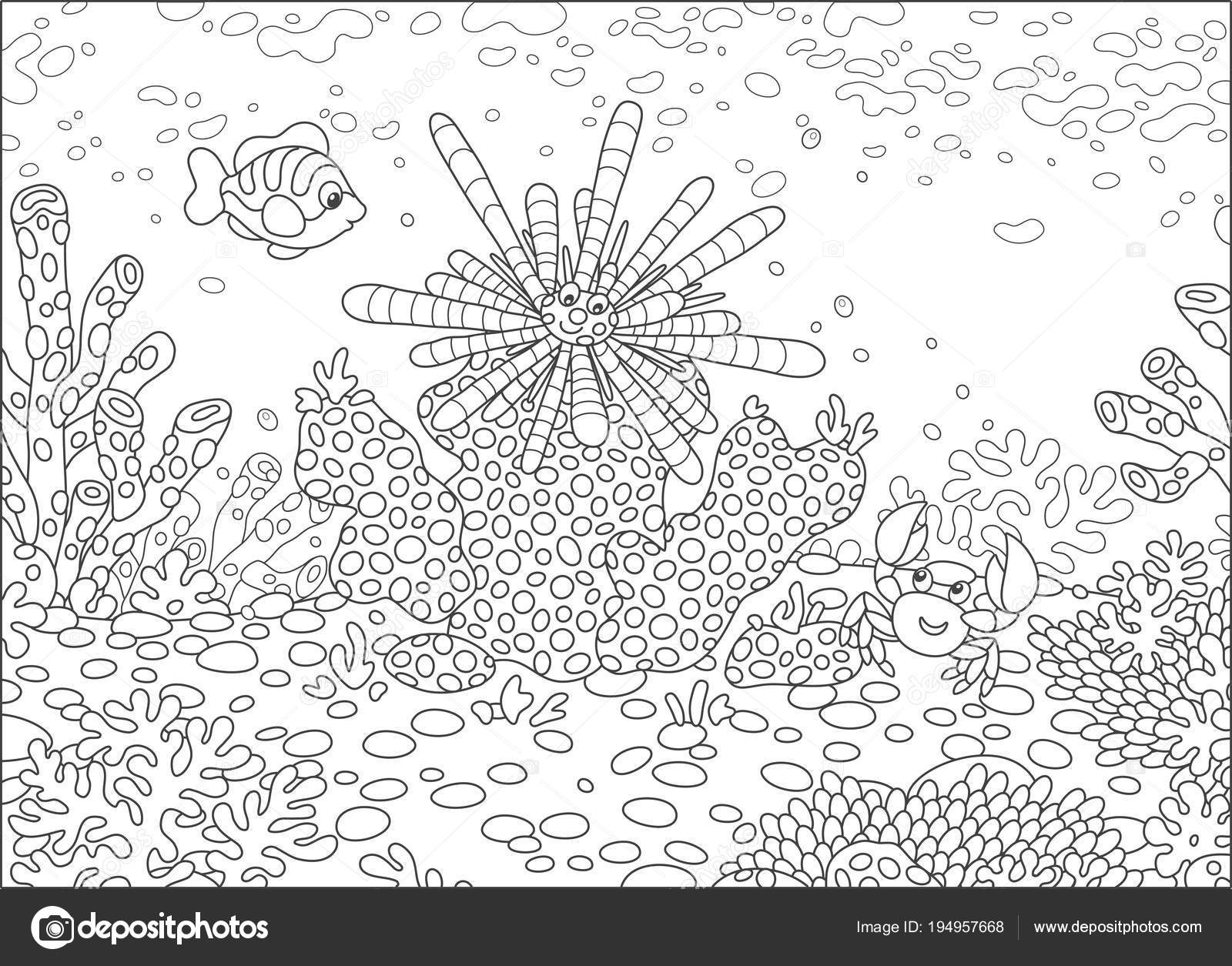 Striped sea urchin funny crab small fish corals reef tropical stock vector by alexbannykh