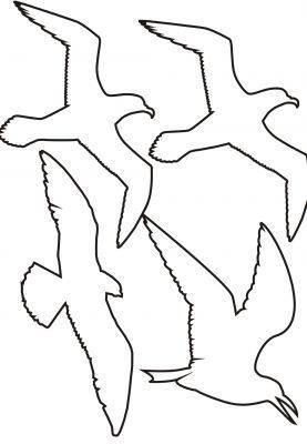 Seagull pattern use the printable outline for crafts creating seagull craft bird drawings beach crafts
