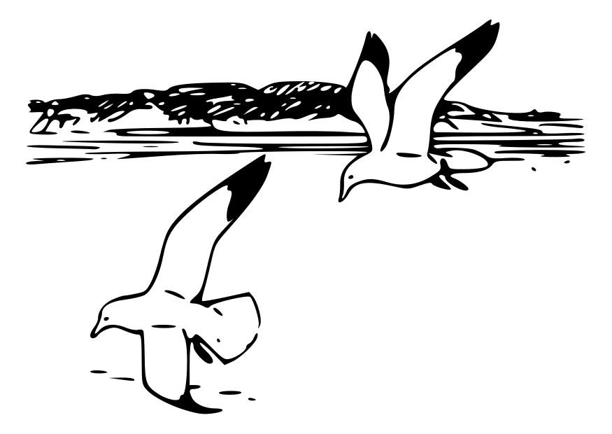 Coloring page birds