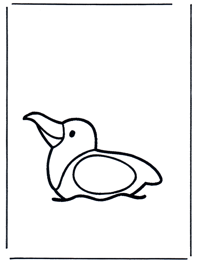 Seagull on water