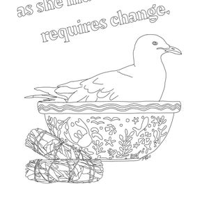 Seagull coloring