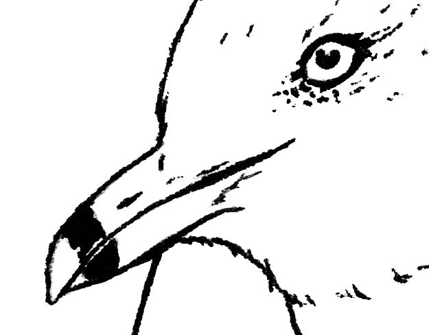 Digital file